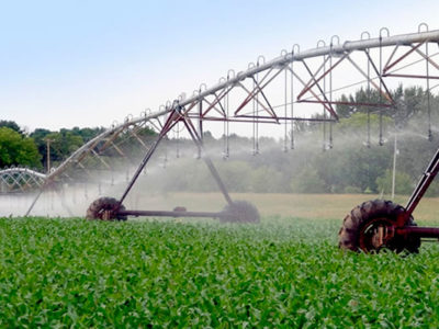 Desafíos del sector agrícola, ganadero y forestal en Chile