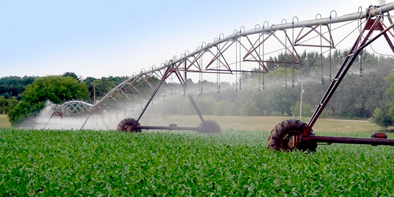 Desafíos del sector agrícola, ganadero y forestal en Chile