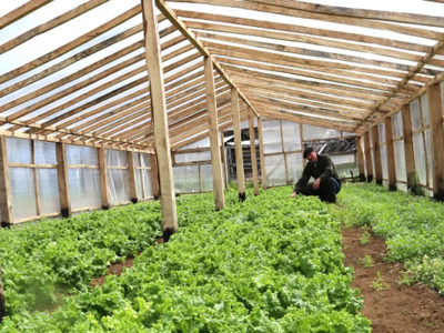 Indap entrega recursos a pequeños agricultores de Aysén