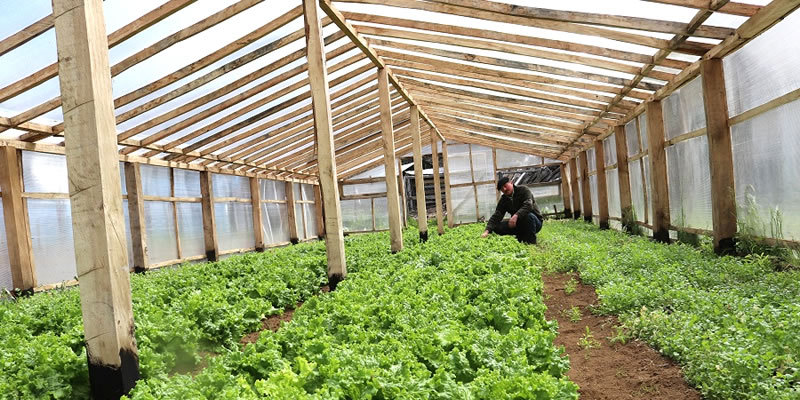 Indap entrega recursos a pequeños agricultores de Aysén