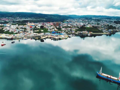 Crece exportación de productos orgánicos hacia a Estados Unidos