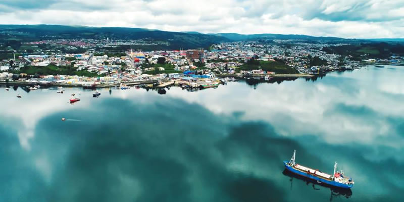 Crece exportación de productos orgánicos hacia a Estados Unidos