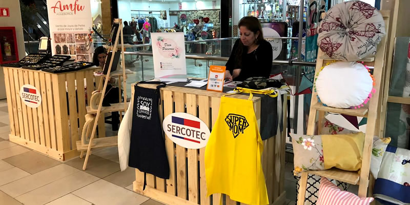 Capacitación en línea para pequeños empresarios