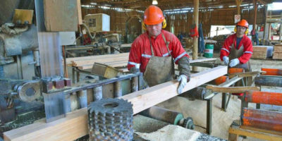 Empresas de la Octava Región se la juegan por la asociatividad