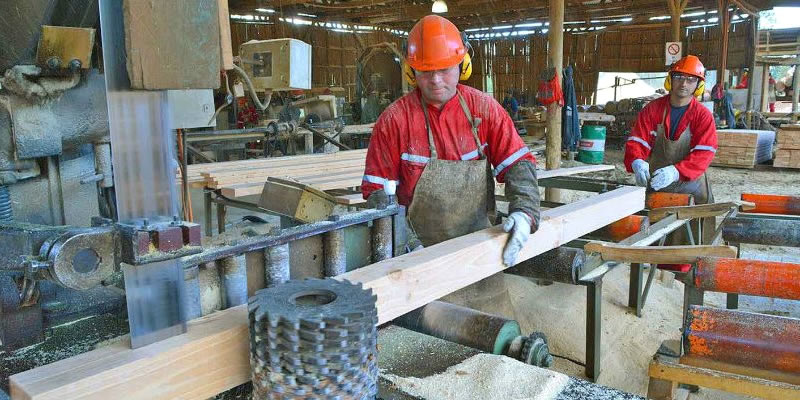 Empresas de la Octava Región se la juegan por la asociatividad