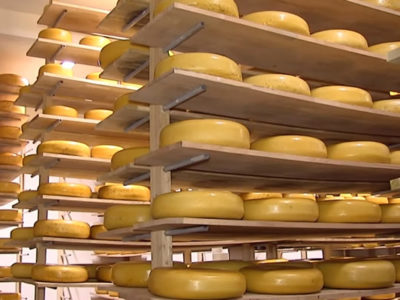 Exportación de lácteos creció un 66% durante el primer semestre