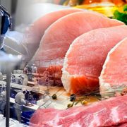 ProChile potencia oferta exportadora en las regiones de Arica y Valdivia