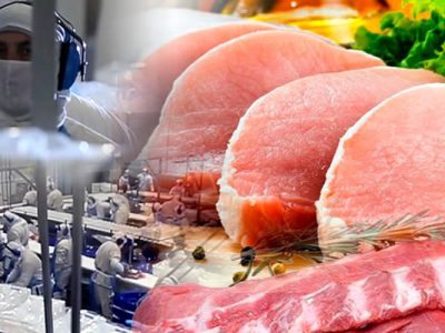 ProChile potencia oferta exportadora en las regiones de Arica y Valdivia