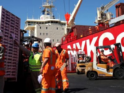 Productores de fruta piden resguardar actividad exportadora