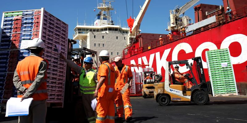 Productores de fruta piden resguardar actividad exportadora