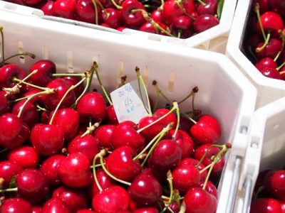 Aysén se perfila como principal productor de cerezas