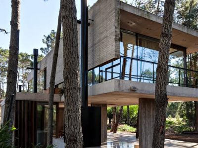 Desarrollan primeras construcciones con eucalyptus nitens