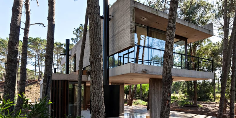 Desarrollan primeras construcciones con eucalyptus nitens