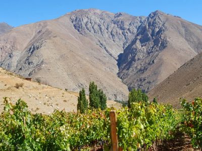 Turismo rural sale al mundo