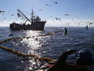 Proyecto que protege pesca artesanal es realidad