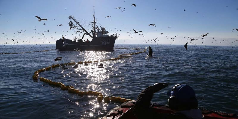 Proyecto que protege pesca artesanal es realidad